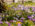hainewalde, krokuswiese, krokus, frühling, naturpark, zittauergebirge, oberlausitz, fotos, bilder