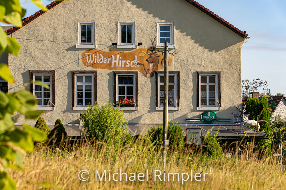 "wilder hirsch", spitzkunnersdorf, interieur, gastronomie, gaststätte, biergarten, oberlausitz, fotos, bilder